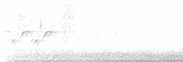 Длиннохвостый крапивник - ML615146196
