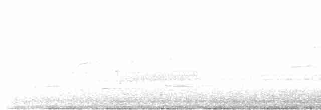 Bewick Çıtkuşu - ML615146198