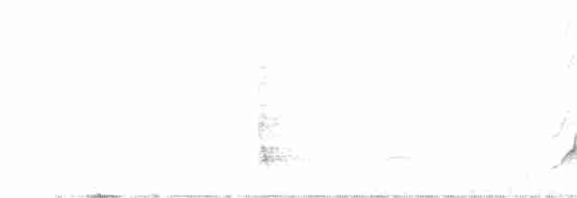 Yazılı Kara Ağaçkakan [lineatus grubu] - ML615147347