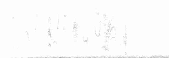 White-lored Gnatcatcher - ML615147378