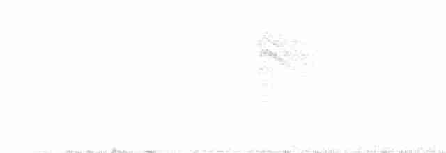 White-lored Gnatcatcher - ML615147394