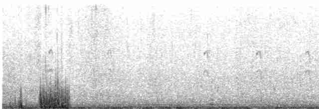 Common Tern - ML615149981
