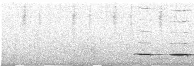 Grallaire de Przewalski - ML615152508