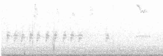 Bewick Çıtkuşu - ML615158040