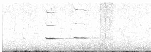 Striped Cuckoo - ML615162224