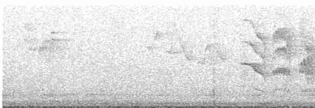 Black-chinned Babbler - ML615163069