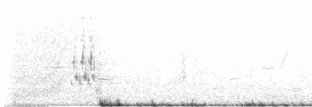 Американский сорокопут - ML615164767