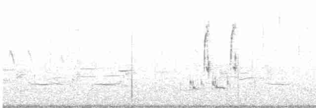Loggerhead Shrike - ML615164772