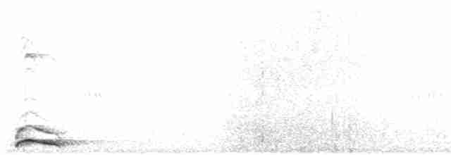 蘭嶼角鴞 - ML615170485