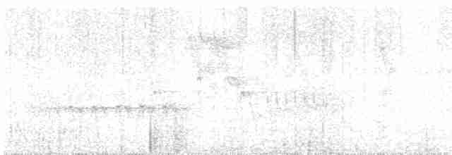 Gözlüklü Baştankara - ML615170542