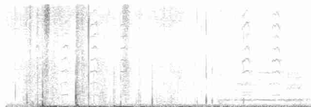 Gila Woodpecker - ML615180358
