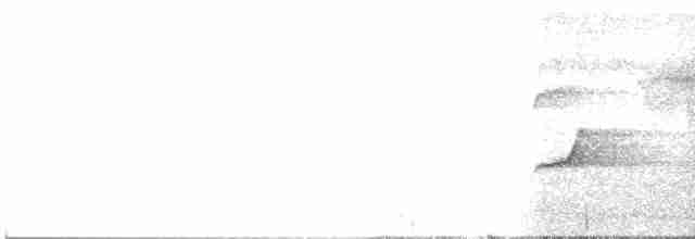 Монаршик гіацинтовий - ML615181263