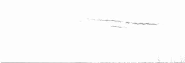 Papamoscas de Mcgrigor - ML615181544