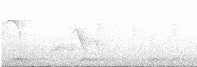 Скриточуб іржастоголовий - ML615181715