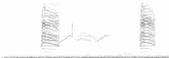 Пересмішник сірий - ML615182378