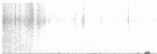 Doğulu Mavi Ardıç - ML615186098