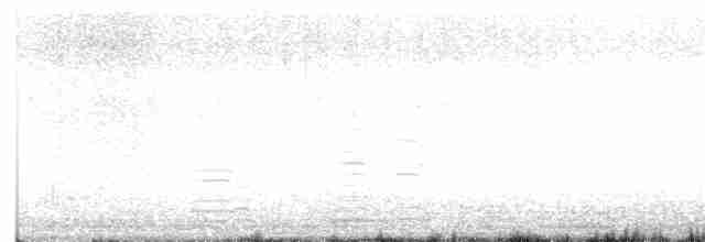 Cisne Trompetero - ML615186904