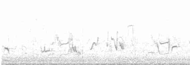 Кактусовый пересмешник - ML615190980