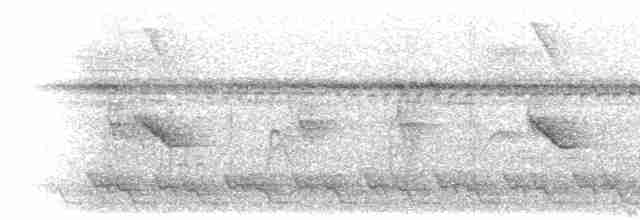 Silbador de Fiyi - ML615191008