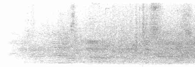 インドチャイロツバメ - ML615191409