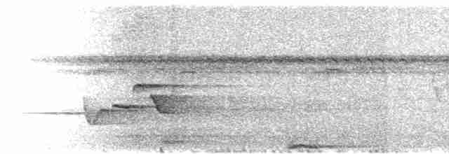 holub fidžijský - ML615192238