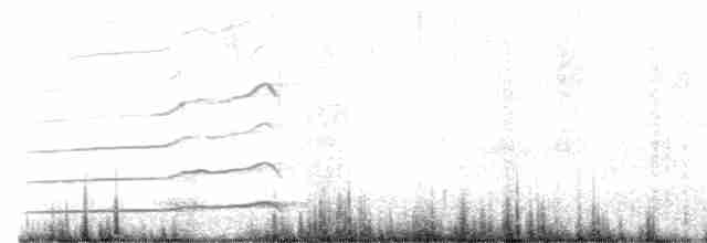 Сова плямиста - ML615192983