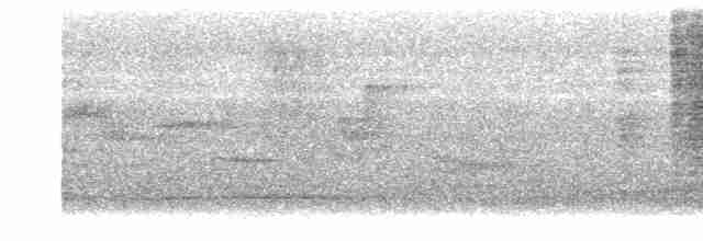Papamoscas de Brooks - ML615193349