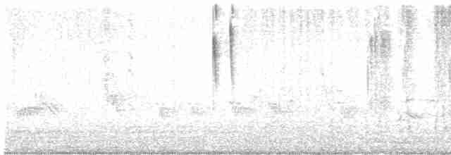 Ширококлювый колибри - ML615193499