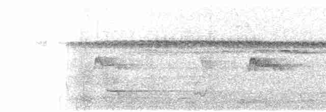 Graumantel-Brillenvogel - ML615194004