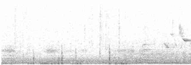Лиска жовтодзьоба - ML615194147