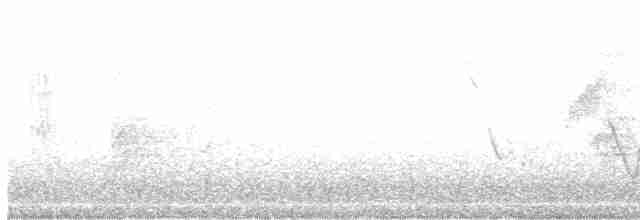 Long-tailed Meadowlark - ML615194615