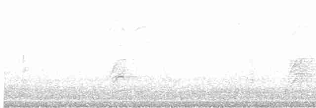 Long-tailed Meadowlark - ML615194616