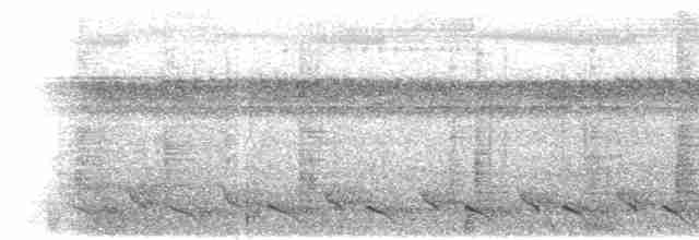 Méliphage de Viti Levu - ML615195116