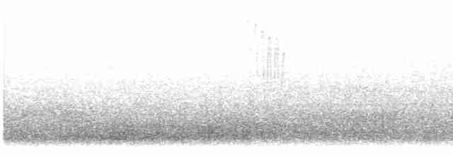 Патагонский пересмешник - ML615195550