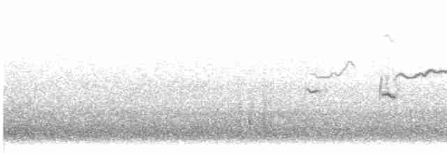 Патагонский пересмешник - ML615195551