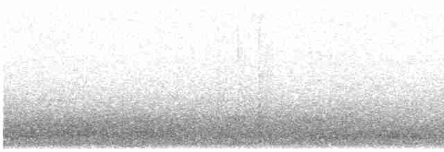 Патагонский пересмешник - ML615195557