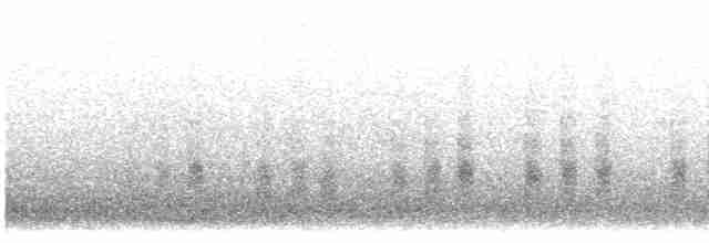 Патагонский пересмешник - ML615195560