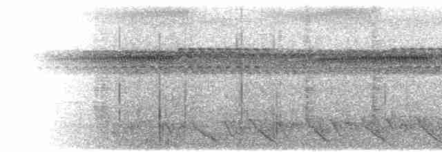 Méliphage de Viti Levu - ML615196335
