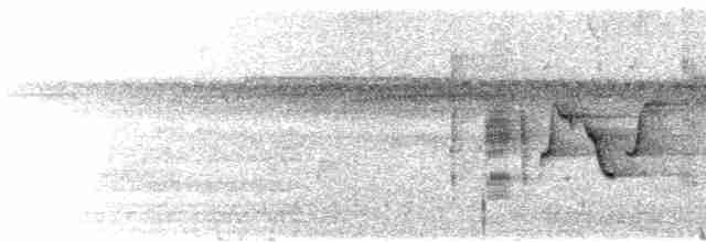 Silbador de Fiyi - ML615197112