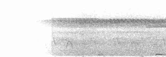 holub fidžijský - ML615197130
