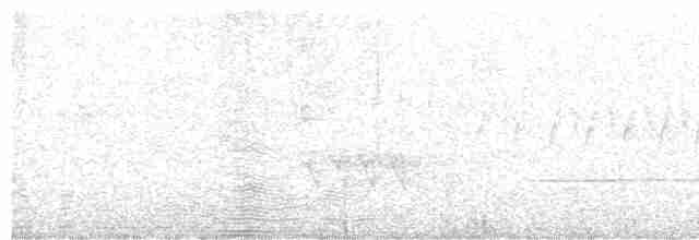 Белогорлая зонотрихия - ML615198305