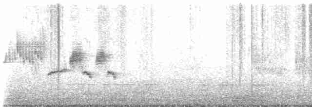 Длиннохвостый крапивник - ML615200476