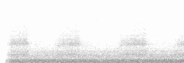 kakadu černý - ML615200598