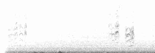 ヒメアジサシ - ML615200676