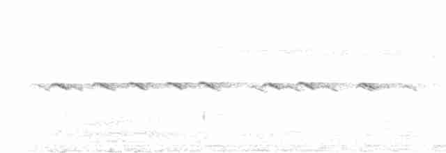 svarthettehonningeter - ML615201541