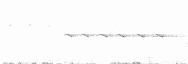 svarthettehonningeter - ML615201542