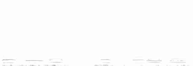 Cisne Trompetero - ML615201587