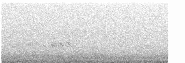 Streifenpanthervogel - ML615201918