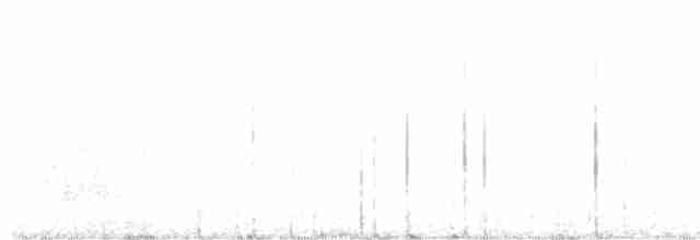 Nínox Maorí - ML615202243
