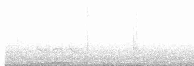 Swallow-tailed Kite - ML615204677